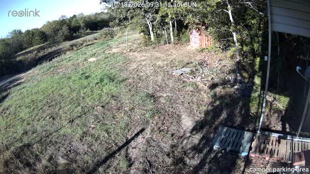clip